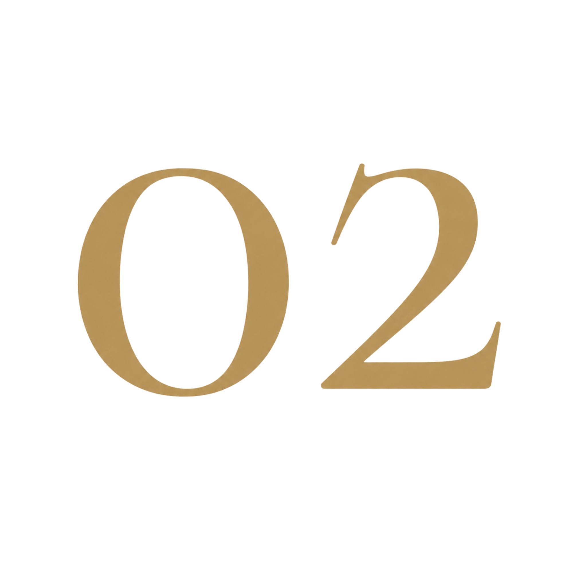 feature-item-2